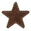 Brown Star Icon