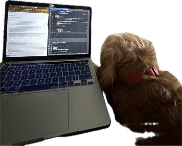 Computer and my dog, Simba